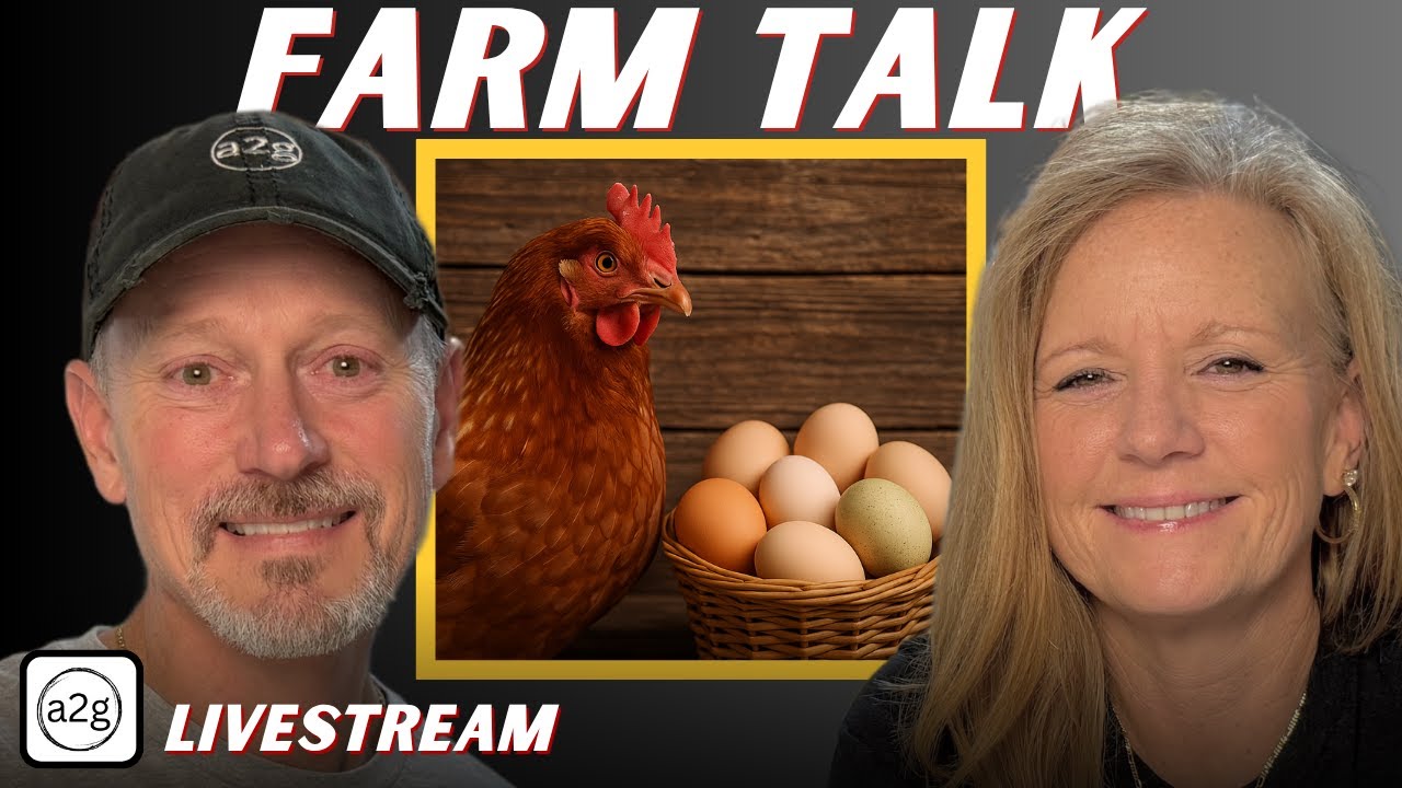 All Things Chickens & Eggs: From Coop to Carton!