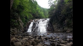Up the Trail 11: VA Thunder Badger (A.T. series)