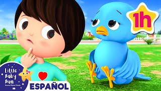 Rescate Animal! | Canciones Infantiles🎵| Caricaturas para bebes | Little Baby Bum