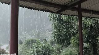 You Won't Believe How Peaceful This Heavy Rain Feels 🌧️ Real Village Rain Sounds🌧️
