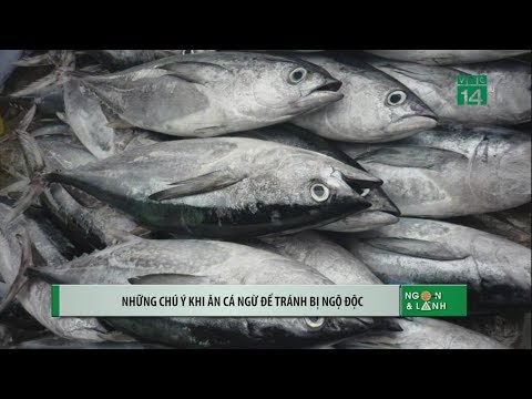 Video: Những Lợi ích Của Cá Ngừ. Tính Năng Sử Dụng Và Chống Chỉ định