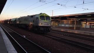 (HD) Euro Cargo Rail Class 247, Captrain Blue Tiger & DB 155 at Berlin Schönefeld - 14/9/16