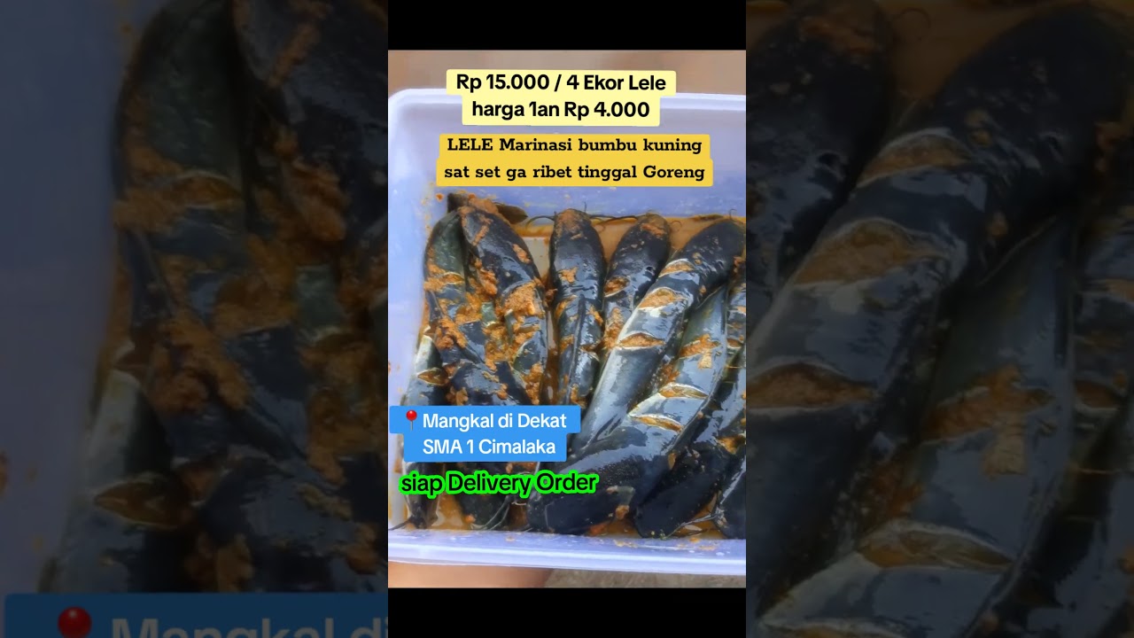 jualan Lele Marinasi  Sat set  tinggal goreng 
