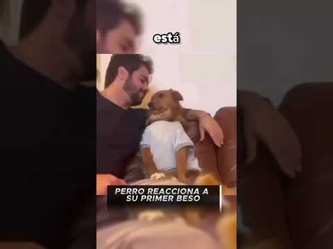 La historia entre este perro y su dueño está conmoviendo a todos#dog