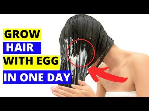 Как вырастить длинные волосы с яйцом в один день