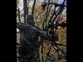 LIFE AT FULL DRAW!! #HRXNATION #bow #full #draw #outdoors #shots #deer #averagejoe #shorts