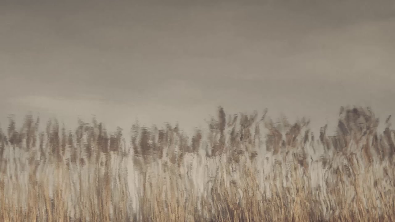 Marco Rosenkranz - By the Stream (2020)