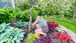 Trip To Cherry Valley Gardens To See More 40% off Concrete Items! Planting my Big Begonias I Seeded!