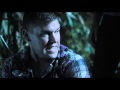 Muck trailer