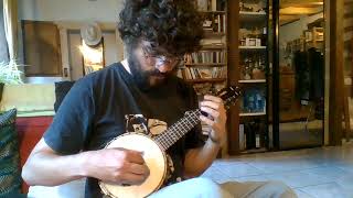 Mole in the ground 5 12 strings piccolo banjo