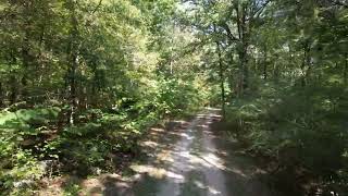 Danville, AL 138 Acres For Sale