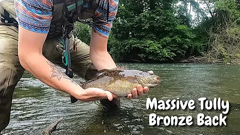Buddy Catches Massive Smallmouth Out of the Tully!