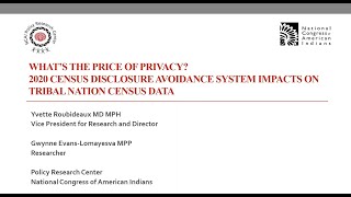 The Price of Privacy? 2020 Census Disclosure Avoidance System Impacts on Tribal Nation Census Data