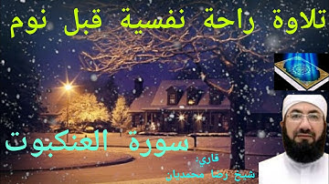 تلاوة راحة نفسية قبل نوم سورة العنكبوت ✅😌 قرآن || قاري: شيخ رضا محمديان Qari Sheikh Reza Mohammadian