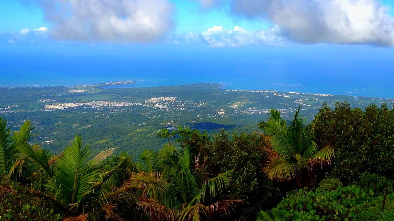 EL YUNQUE RAINFOREST, Soaring Views in Puerto Rico - YouTube.