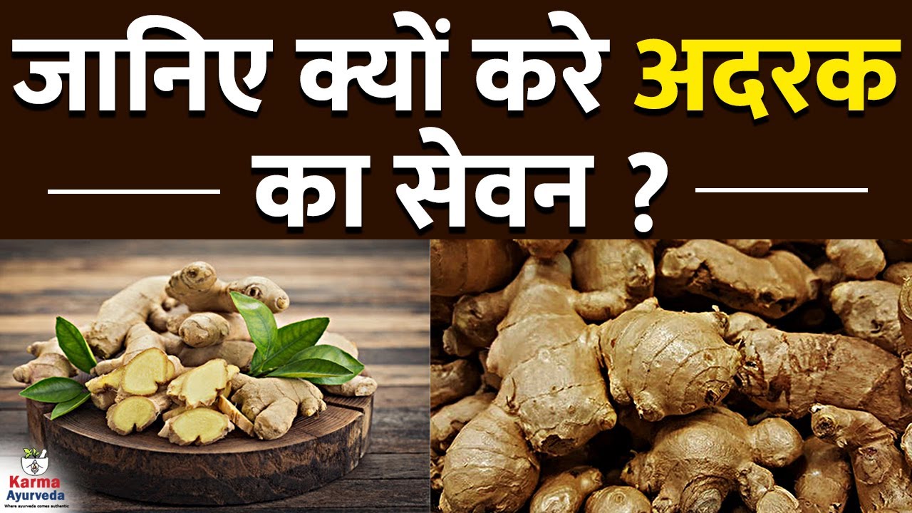 Is Ginger Good for Kidney Patients? Ayurvedic Kidney Care YouTube