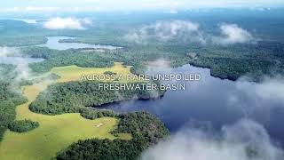 THE CONKOUATI-DOULI NATIONAL PARK : where the atlantic ocean meets the equatorial rainforest