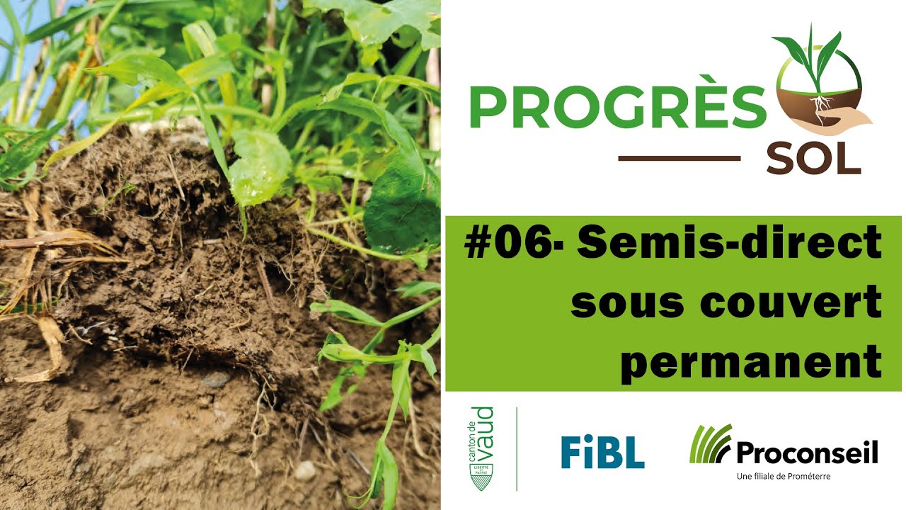 Semis-direct sous couvert permanent (M. Geloen  ; N. Courtois ; S. Deytard ; C. Guyot ; T. Salzmann)
