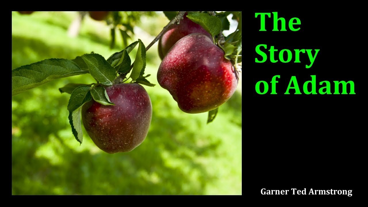Ted Am Strong The Story of Adam - Garner Ted Armstrong - YouTube