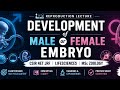 Development of Male &amp; Female Embryo in 20 Minutes | CSIR NET JRF Life Sciences | MSc Zoology 