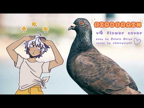 【v4flower】BIRDBRAIN【VOCALOID Cover】