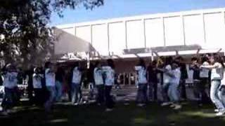 UCSD SPORTS DAY CHEER