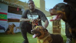 Buzz-Wow Wow Wow & F..k N10 After Life The Project Official Video 2023