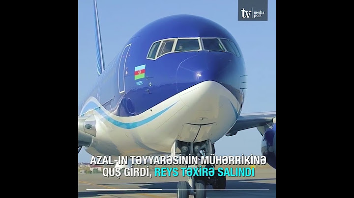 AZAL-ın təyyarəsinin mühərrikinə quş girdi, reys təxirə salındı