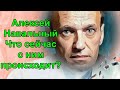 Алексей Навальный. Что сейчас с ним происходит?