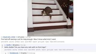 Pop Rock Reddit - Fuzzy Reptillion Companion