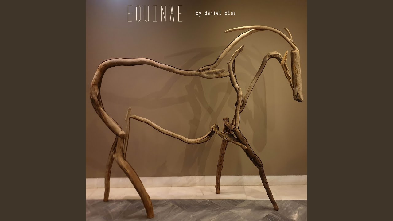 Equinae auf YouTube ansehen Equinae auf YouTube ansehen