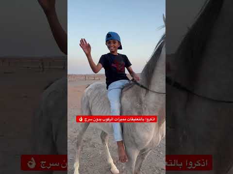 ماعي فوائد الركوب بدون سرج اكسبلور خيل سعد الخيال الصغير  عواد حصان