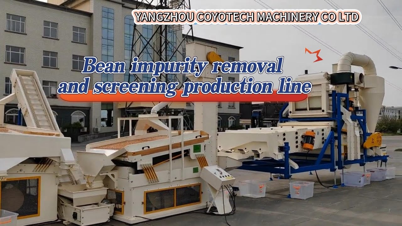 Bean impurity removal and screening production line - YouTube