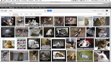 Foto WordPress Invoegen -- Afbeeldingen en foto