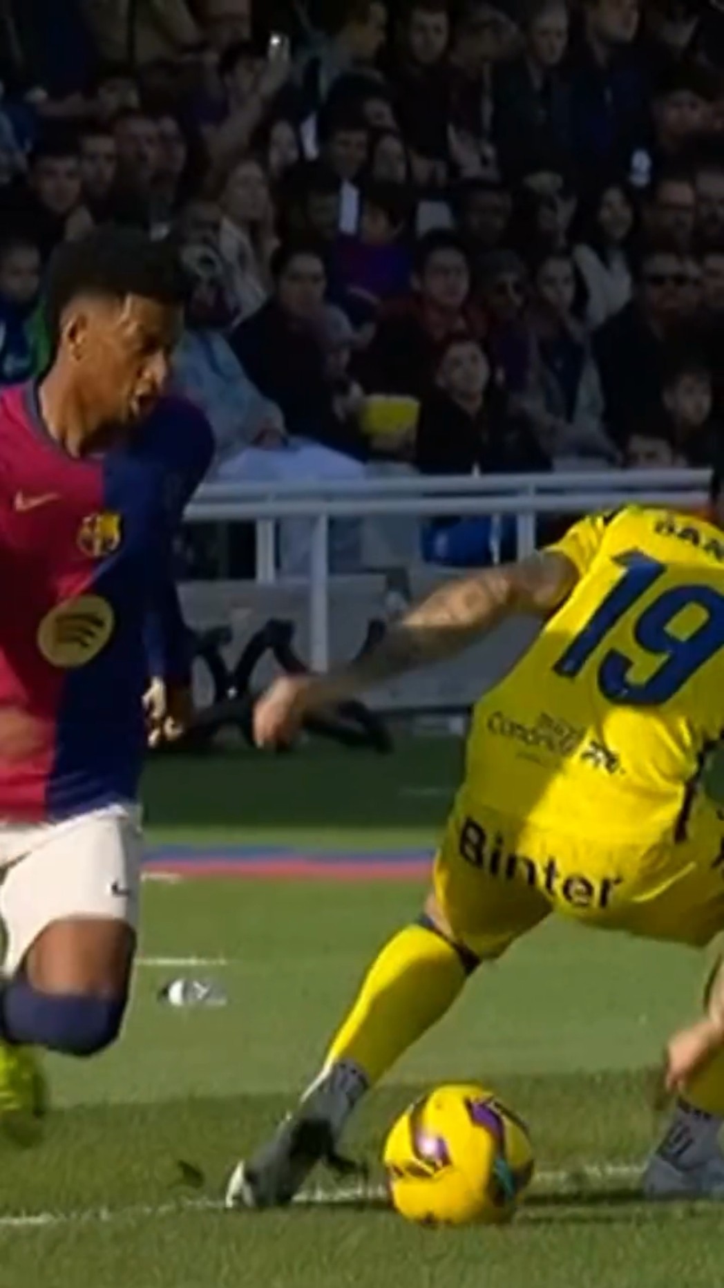 BALDE nutmegs ?