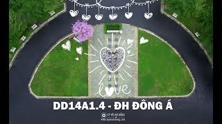 Chụp Ảnh Kỷ Yếu - Mv Kỷ Yếu Lớp Dd14A14 - Đh Đông Á