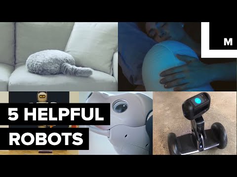 5 Robots You Should Definitely Consider Befriending