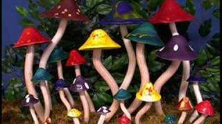 Video thumbnail of "Can - Mushroom"