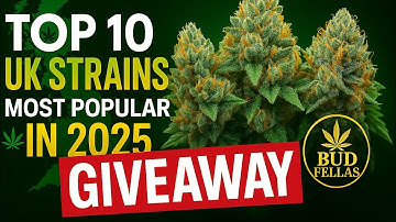 Top 10 Cannabis Strains Taking Over the UK in 2025 🇬🇧. **free giveaway**