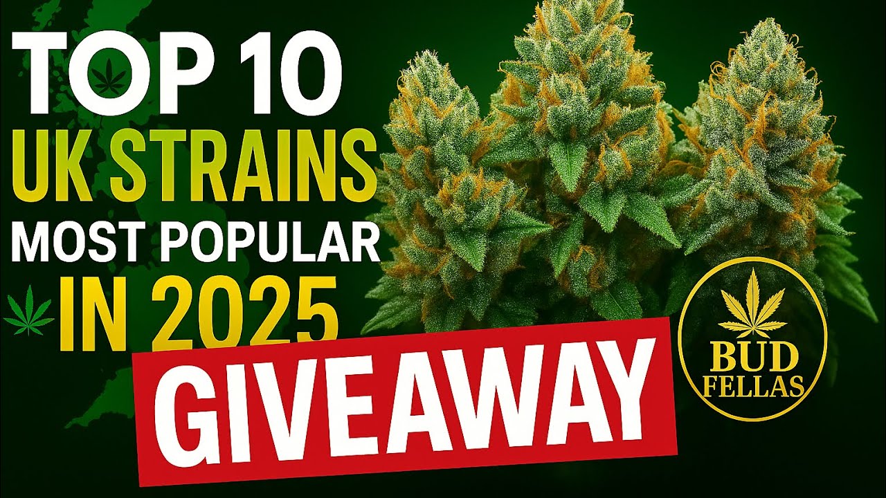 Top 10 Cannabis Strains Taking Over the UK in 2025 🇬🇧. **free giveaway**