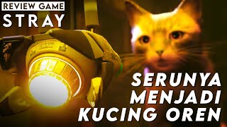 Wajib Coba! Serunya Jadi Kucing yang Nakal! REVIEW GAME: STRAY (Indonesia) screenshot 2