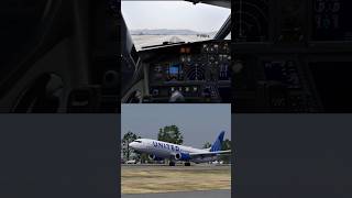 Landing In Princess Juliana Tncm