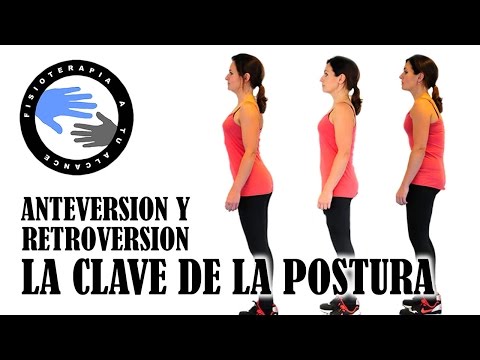 Vídeo: Como ocorre a postura?