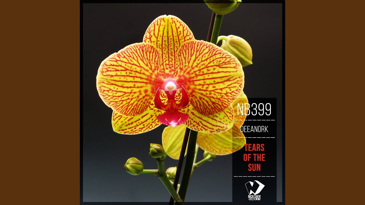 在 YouTube 上观看 Tears of the Sun (Solid Machine Remix)