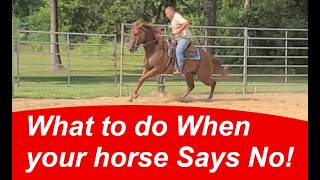 When your horse says no, then what? This!