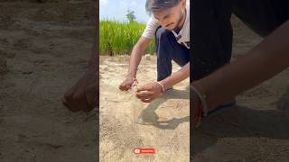 Bullet Bomb Vs Bottle Experiment | #bulletbomb #crackers #testing #shorts #ytshorts #diwali2025