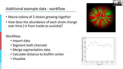 BiofilmQ hands-on tutorial 2: Examples (I2K Workshop)