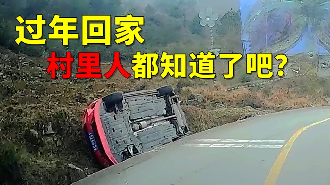 新手过年回家，村里人都知道了，2024交通事故第35期