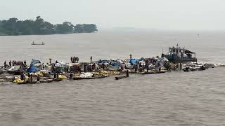 Convoy of Boats on the Congo River