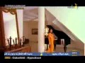 شب جيلاني واميره وحشتني شب جيلاني واميره وحشتني